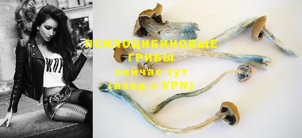 амфетамин Покров