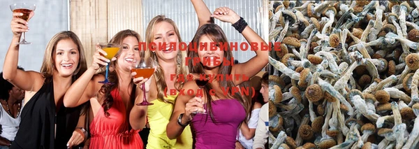 амфетамин Покров