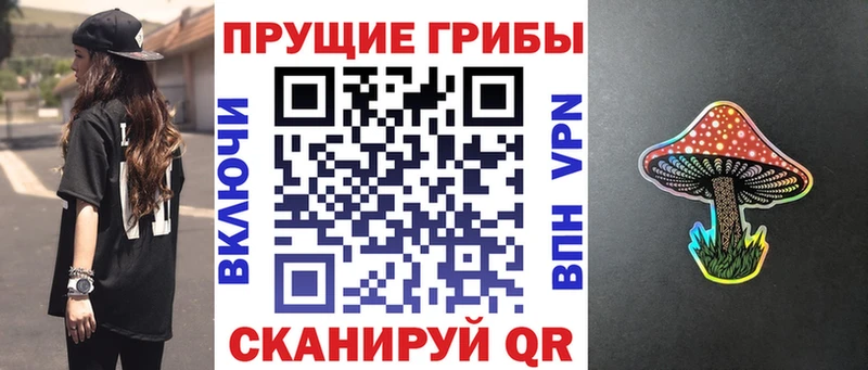 Купить где  Александровск  Псилоцибиновые грибы Cubensis 