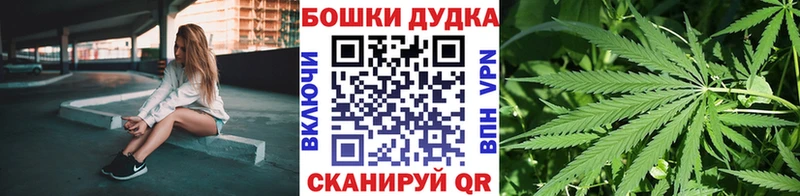 Купить где  Александровск  МАРИХУАНА OG Kush 